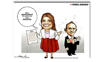 Perfil id&oacute;neo